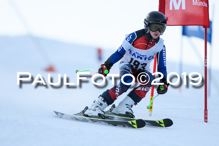 SVM U8, U10, U12, SechzgerPokal 2019