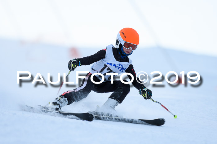 SVM U8, U10, U12, SechzgerPokal 2019