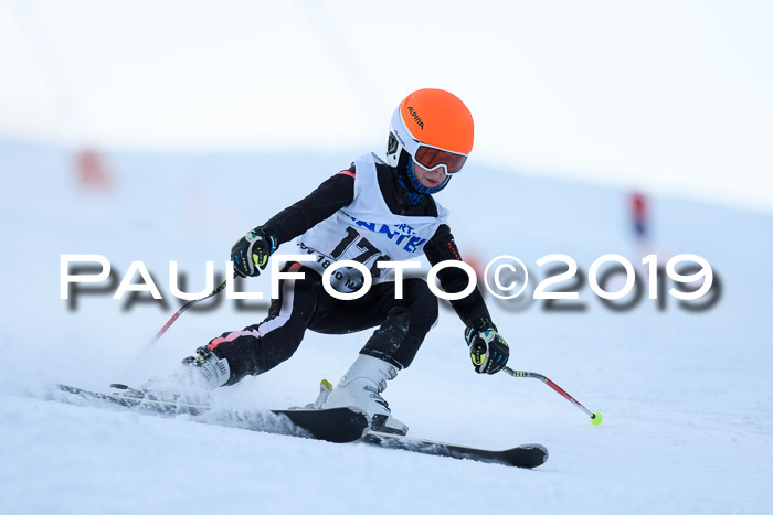 SVM U8, U10, U12, SechzgerPokal 2019