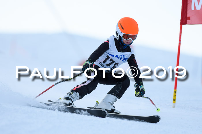 SVM U8, U10, U12, SechzgerPokal 2019