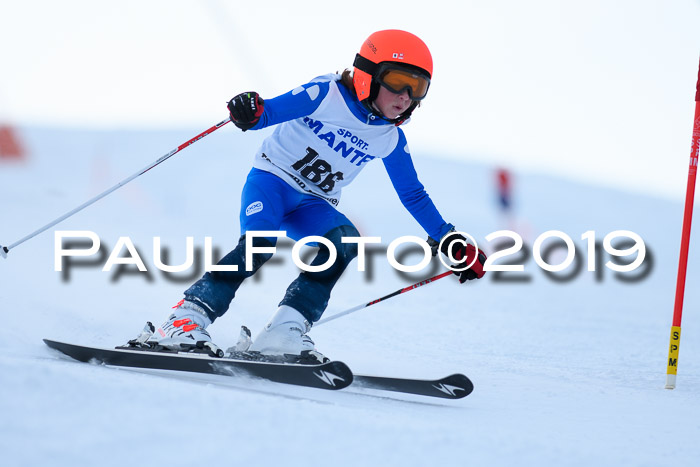 SVM U8, U10, U12, SechzgerPokal 2019