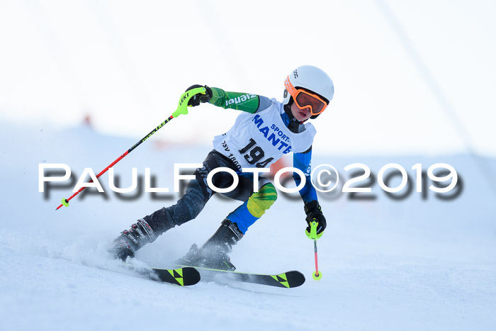 SVM U8, U10, U12, SechzgerPokal 2019