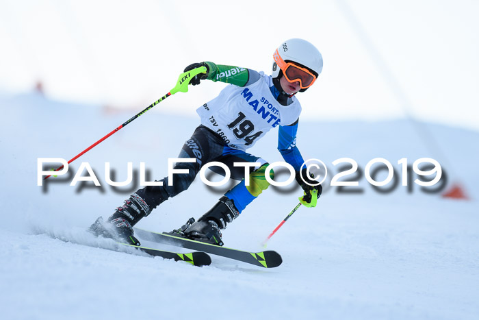 SVM U8, U10, U12, SechzgerPokal 2019