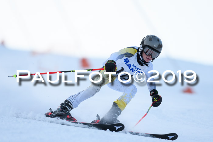 SVM U8, U10, U12, SechzgerPokal 2019