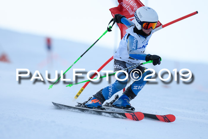 SVM U8, U10, U12, SechzgerPokal 2019