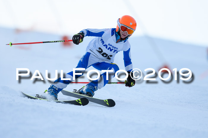 SVM U8, U10, U12, SechzgerPokal 2019