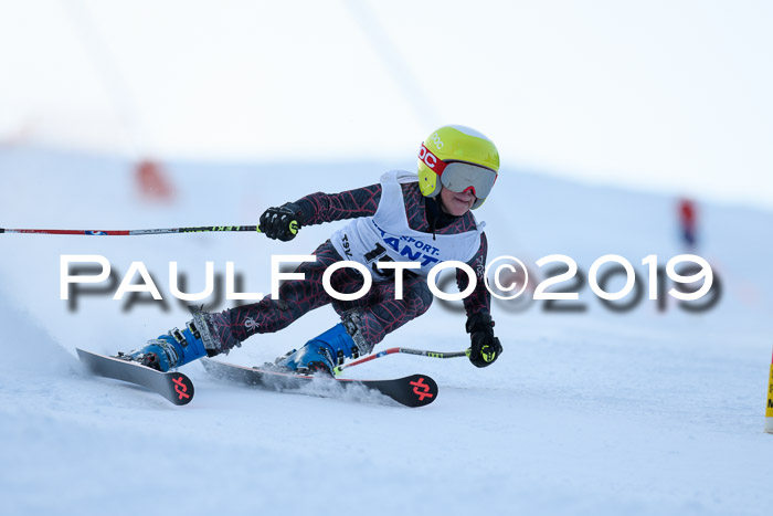 SVM U8, U10, U12, SechzgerPokal 2019