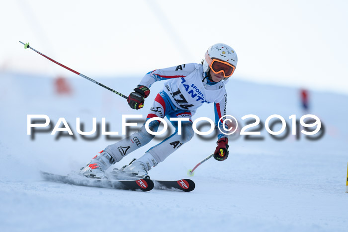 SVM U8, U10, U12, SechzgerPokal 2019