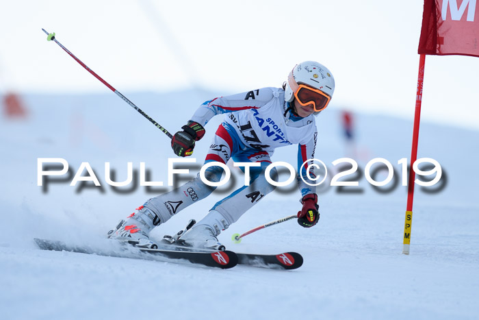 SVM U8, U10, U12, SechzgerPokal 2019