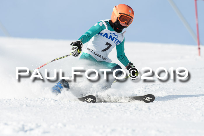 SVM U8, U10, U12, SechzgerPokal 2019