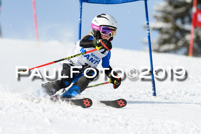 SVM U8, U10, U12, SechzgerPokal 2019