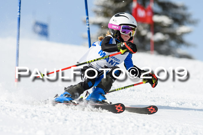 SVM U8, U10, U12, SechzgerPokal 2019