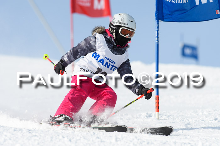 SVM U8, U10, U12, SechzgerPokal 2019