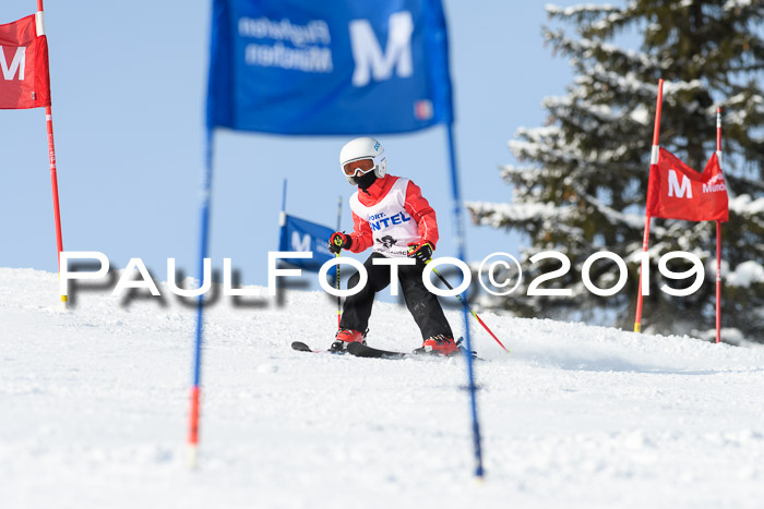 SVM U8, U10, U12, SechzgerPokal 2019