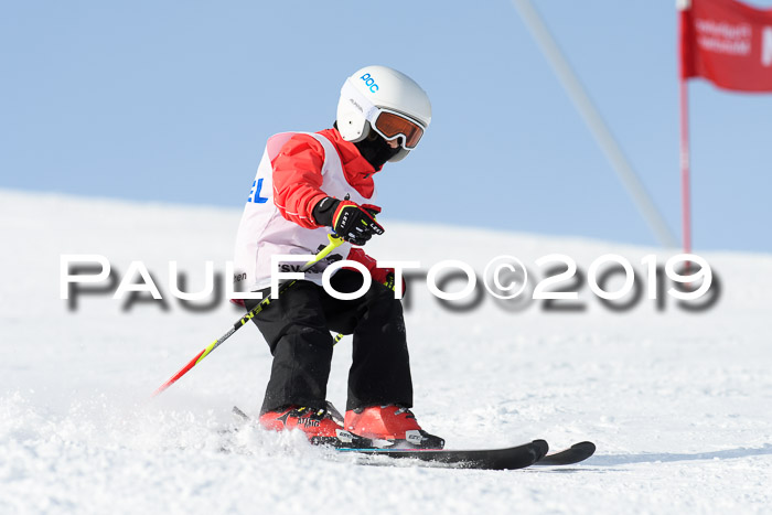 SVM U8, U10, U12, SechzgerPokal 2019