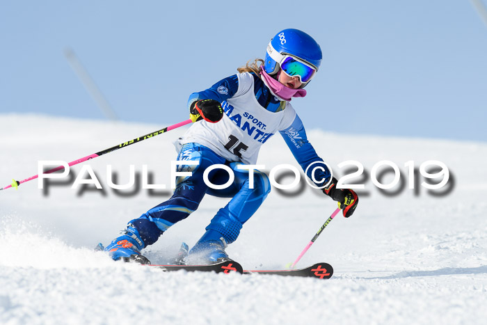 SVM U8, U10, U12, SechzgerPokal 2019