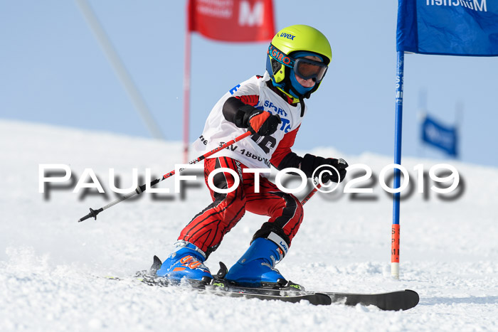 SVM U8, U10, U12, SechzgerPokal 2019