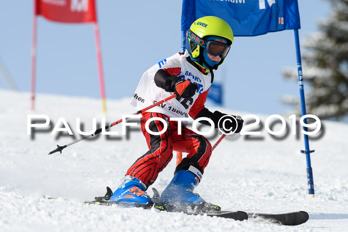 SVM U8, U10, U12, SechzgerPokal 2019