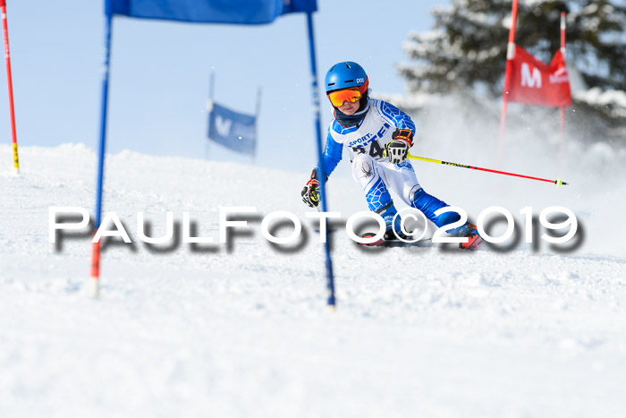 SVM U8, U10, U12, SechzgerPokal 2019