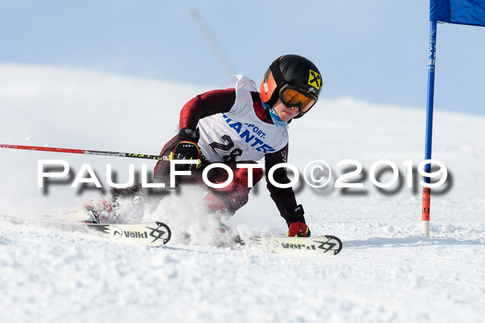 SVM U8, U10, U12, SechzgerPokal 2019