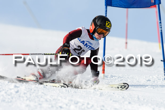 SVM U8, U10, U12, SechzgerPokal 2019