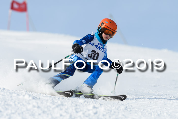 SVM U8, U10, U12, SechzgerPokal 2019