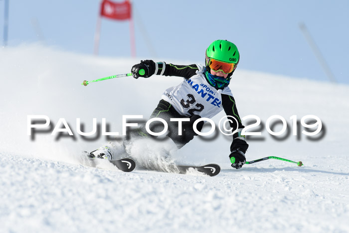 SVM U8, U10, U12, SechzgerPokal 2019