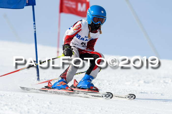 SVM U8, U10, U12, SechzgerPokal 2019