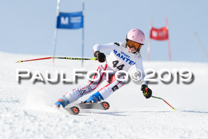 SVM U8, U10, U12, SechzgerPokal 2019