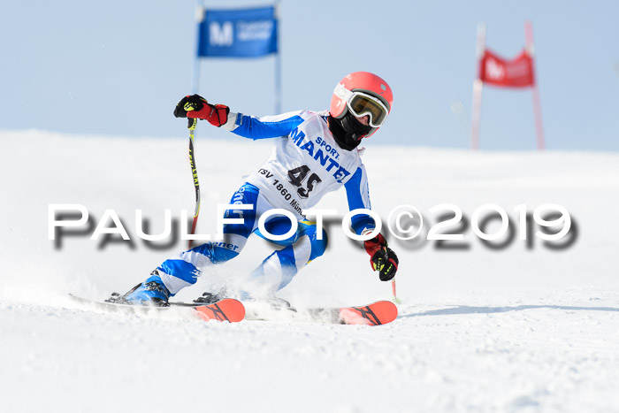 SVM U8, U10, U12, SechzgerPokal 2019