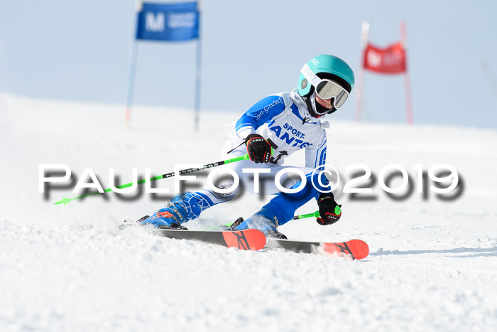 SVM U8, U10, U12, SechzgerPokal 2019