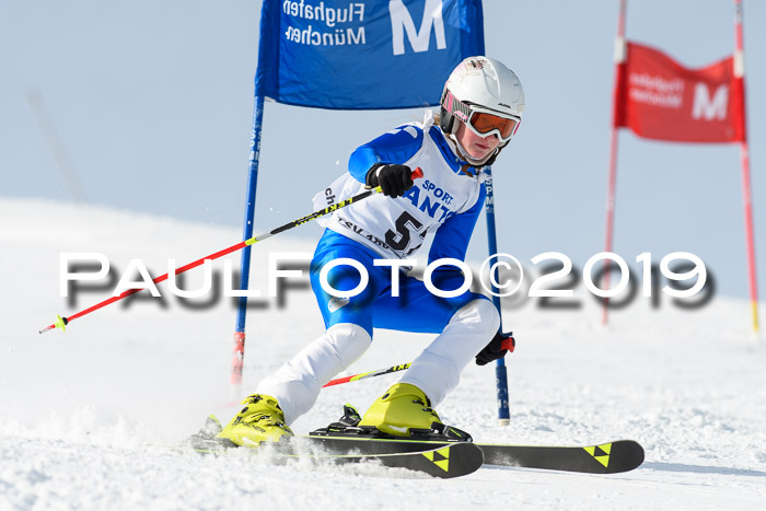 SVM U8, U10, U12, SechzgerPokal 2019