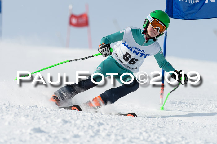 SVM U8, U10, U12, SechzgerPokal 2019