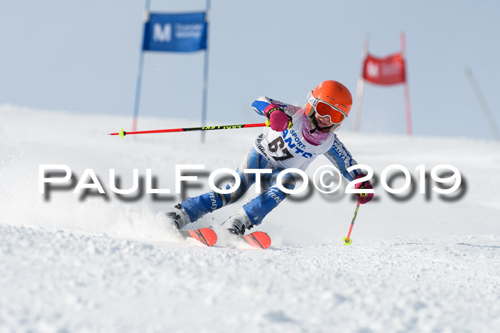 SVM U8, U10, U12, SechzgerPokal 2019