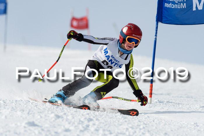 SVM U8, U10, U12, SechzgerPokal 2019