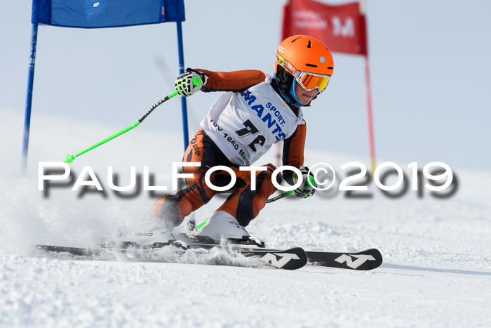 SVM U8, U10, U12, SechzgerPokal 2019