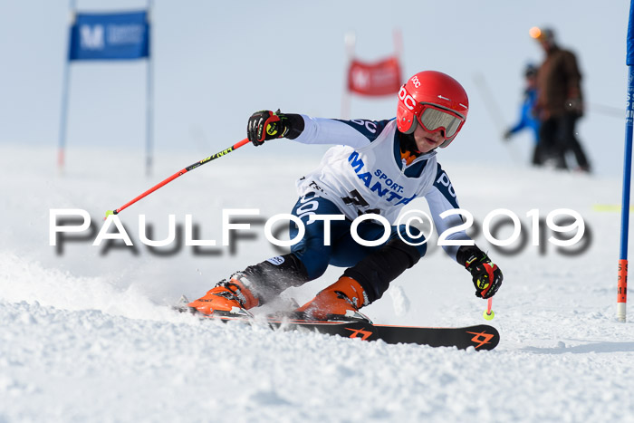 SVM U8, U10, U12, SechzgerPokal 2019