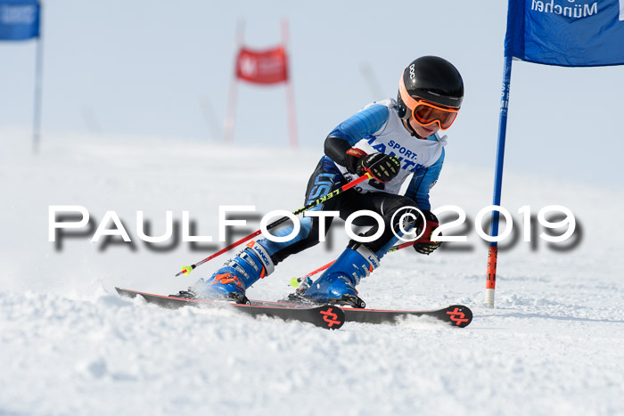 SVM U8, U10, U12, SechzgerPokal 2019