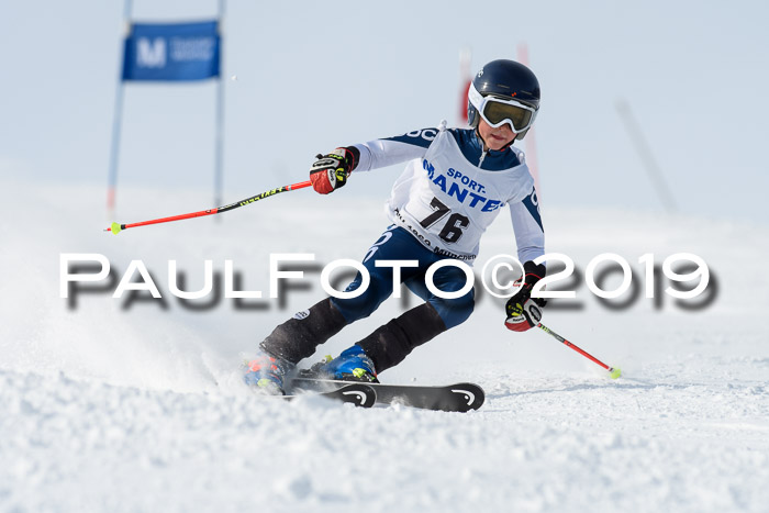 SVM U8, U10, U12, SechzgerPokal 2019