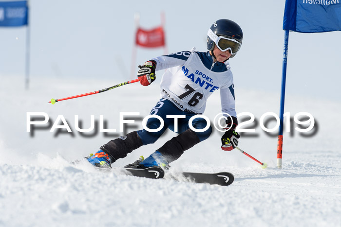 SVM U8, U10, U12, SechzgerPokal 2019