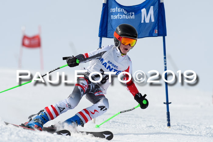 SVM U8, U10, U12, SechzgerPokal 2019