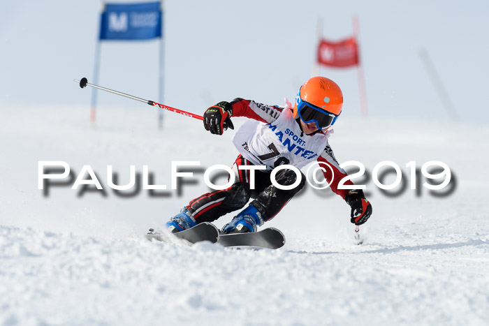 SVM U8, U10, U12, SechzgerPokal 2019