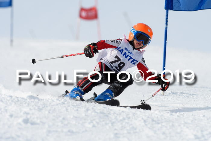 SVM U8, U10, U12, SechzgerPokal 2019