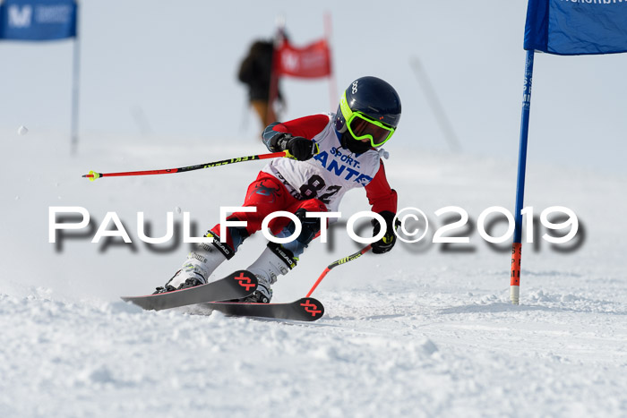 SVM U8, U10, U12, SechzgerPokal 2019