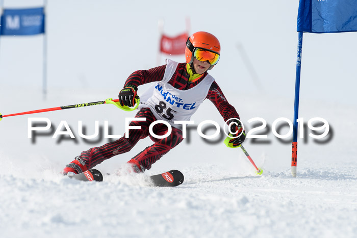 SVM U8, U10, U12, SechzgerPokal 2019