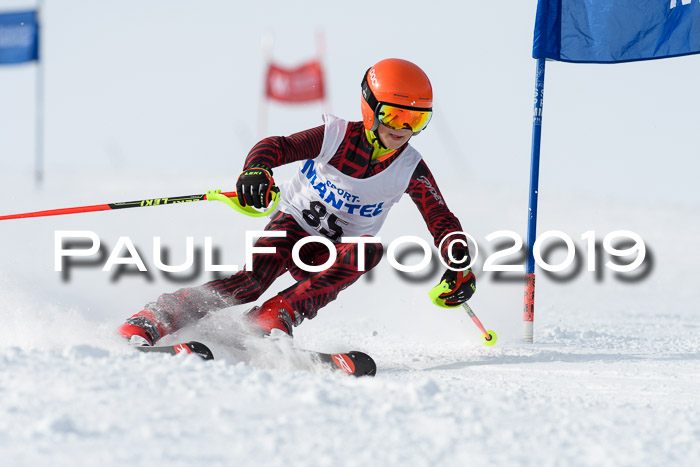 SVM U8, U10, U12, SechzgerPokal 2019