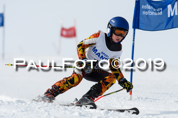 SVM U8, U10, U12, SechzgerPokal 2019