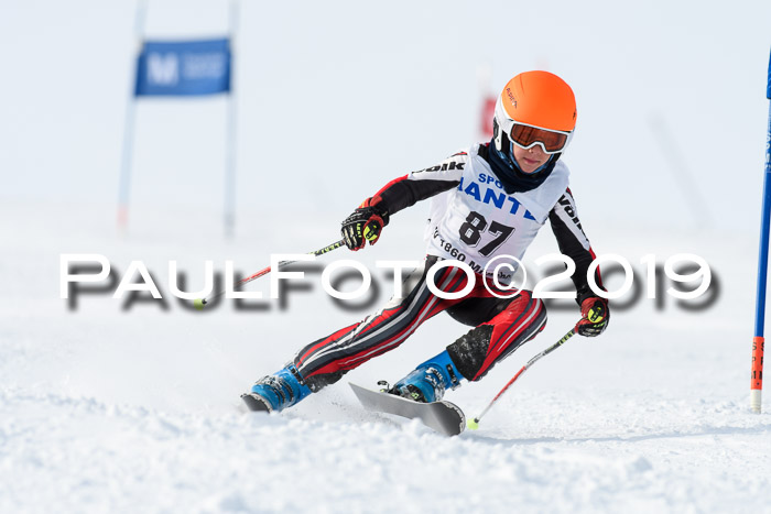 SVM U8, U10, U12, SechzgerPokal 2019