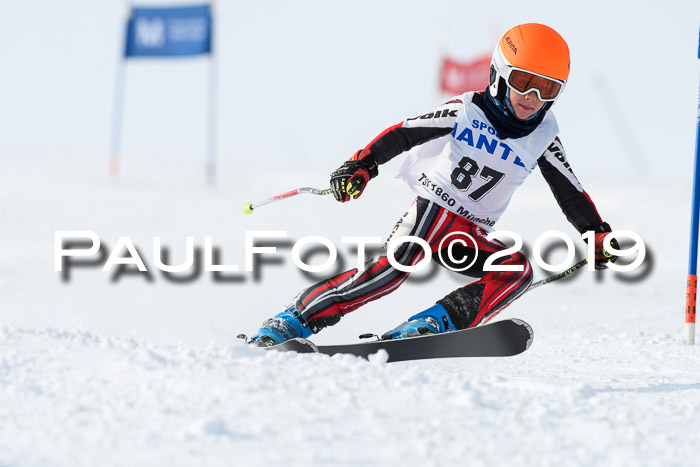 SVM U8, U10, U12, SechzgerPokal 2019