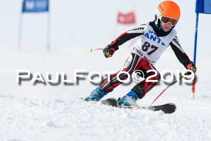 SVM U8, U10, U12, SechzgerPokal 2019